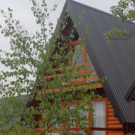 Villa Wood Borje Žabljak Εξωτερικό φωτογραφία